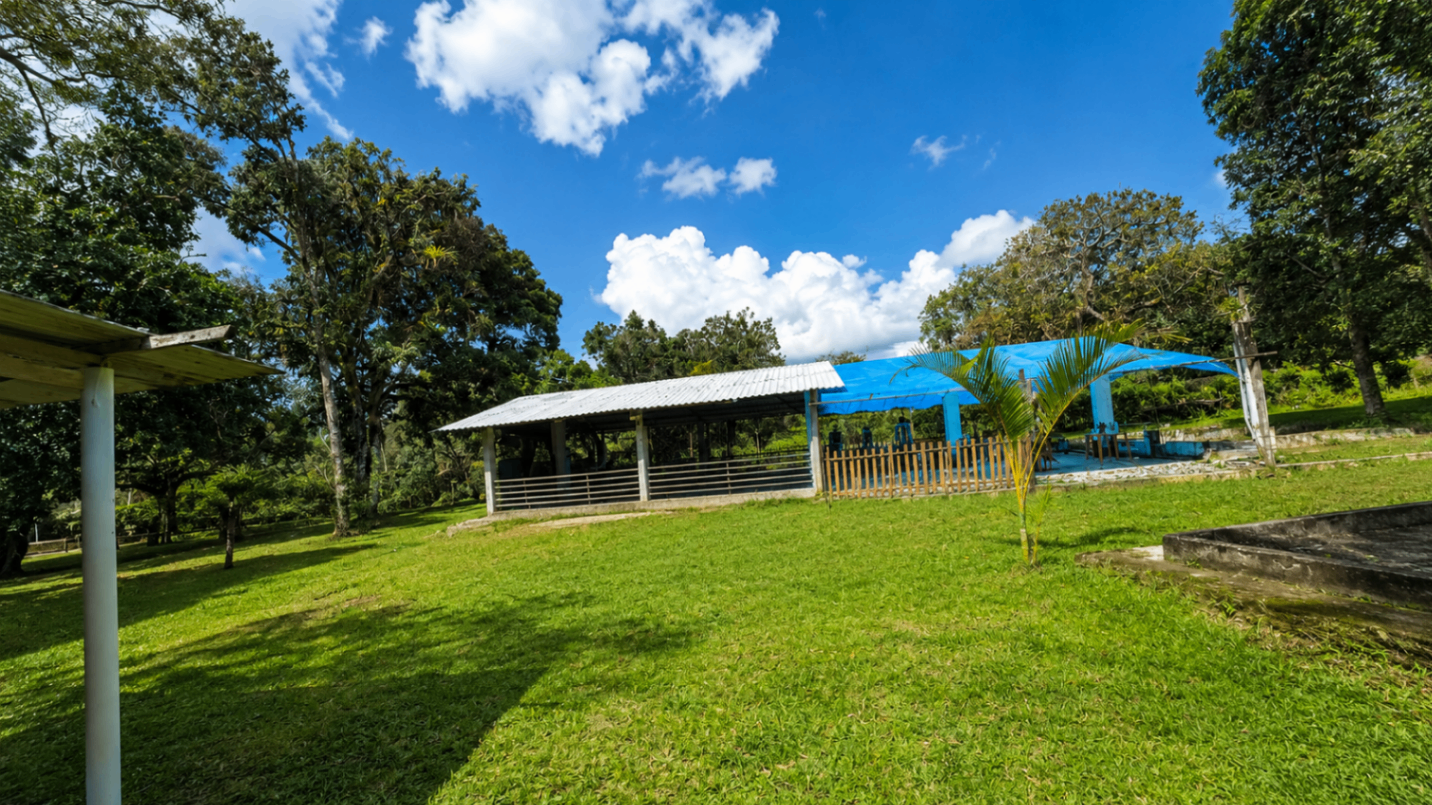 Área verde e estrutura aberta do CT Édera